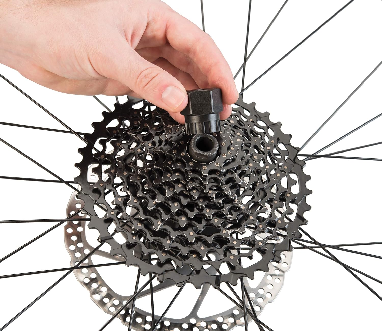 Park Tool vs. Budget Cassette Tools: Is the Price Gap Justified?